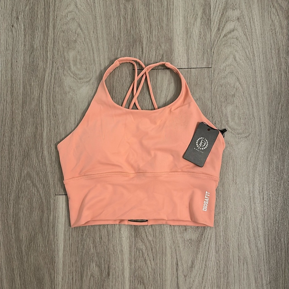 Diosa Fit Sports Bra